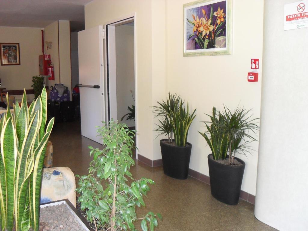 Hotel Zani Cervia Eksteriør bilde